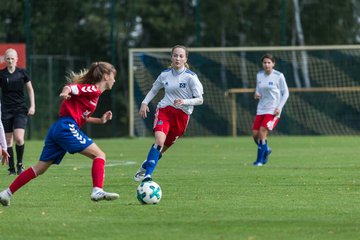 Bild 214 - B-Juniorinnen HSV - FF USV Jena : Ergebnis: 3:1
